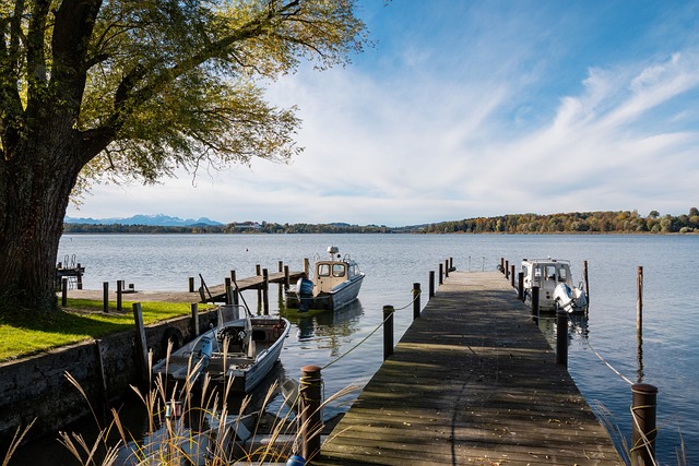 球员与俱乐 球员与俱乐