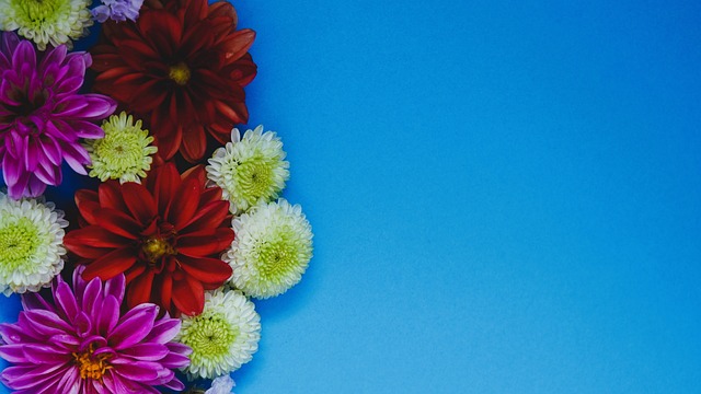 所有在美国 所有在美国