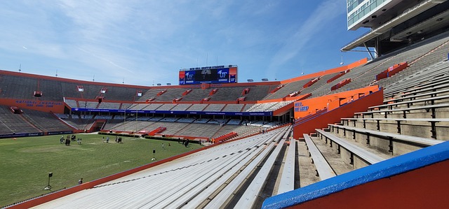 费雷尔的严 费雷尔的严